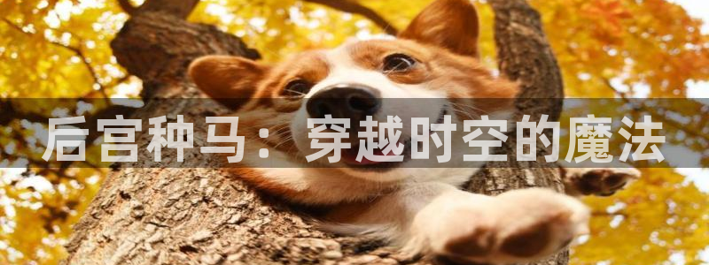 漫蛙漫画入口：后宫种马：穿越时空的魔法