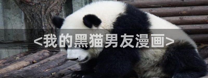 漫蛙漫画在线下载