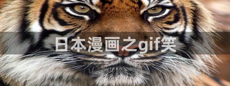 漫蛙 一耽：日本漫画之gif笑
