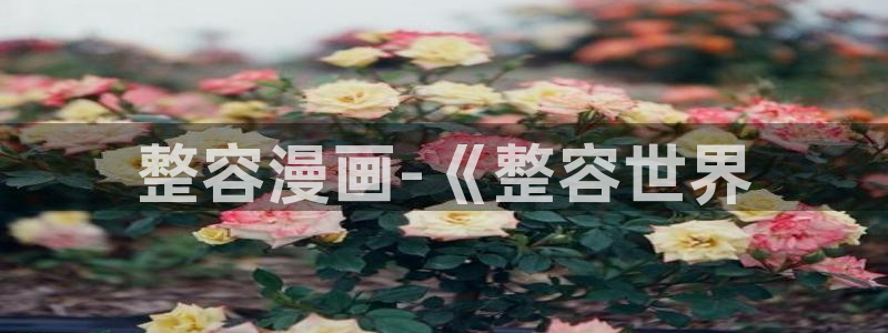 漫蛙韩漫画官网：整容漫画-《整容世界