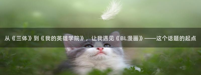漫蛙入口2025：从《三体》到《我的英雄学院》，让我遇见《BL漫画》——这个话题的起点