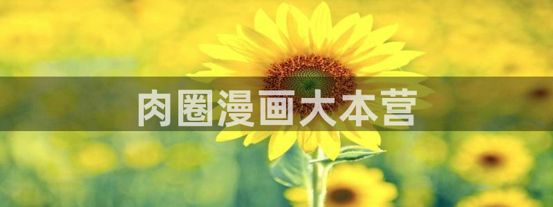 漫蛙安全下载：肉圈漫画大本营