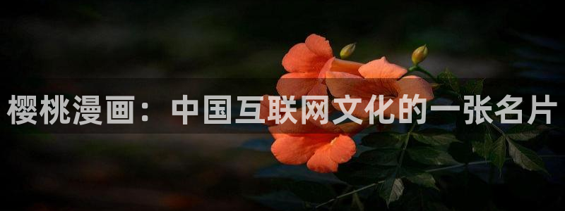 漫蛙正版界面入口：樱桃漫画：中国互联网文化的一张名片