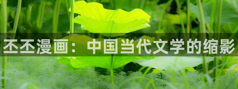 漫蛙2app免费下载安装：丕丕漫画：中国当代文学的缩影