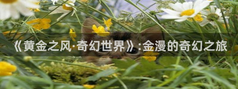代号阿纳斯塔西娅漫画无删减版免费阅读漫蛙