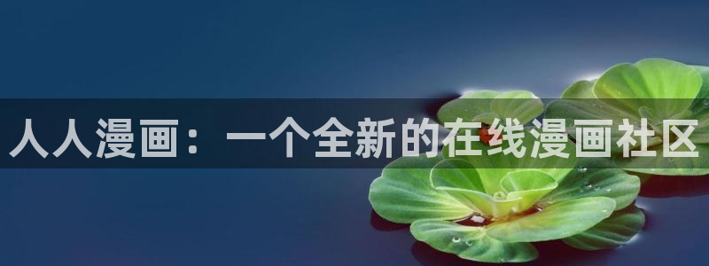 漫蛙专注