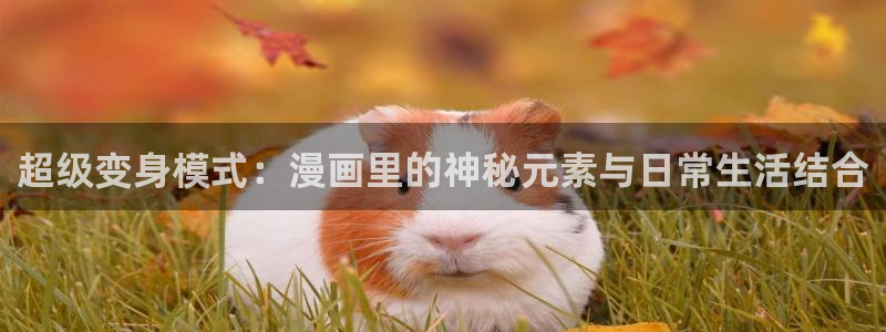 漫蛙2正版app在哪下载