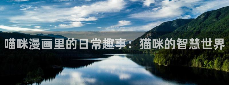 漫蛙manwa2安卓下载