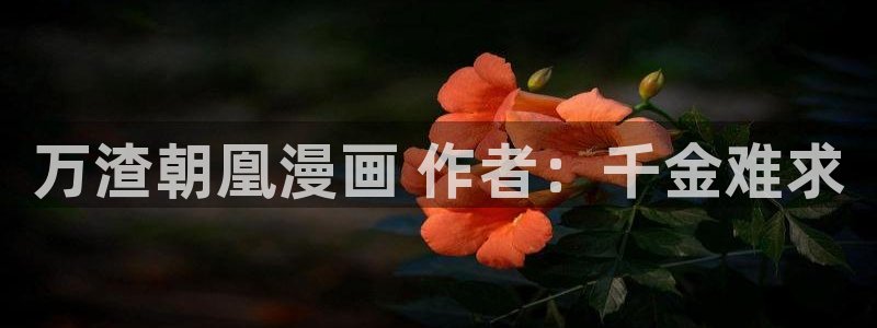 漫蛙漫画官方版正版入口网页免费