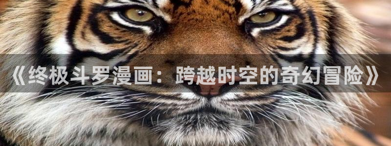 漫蛙漫画下载正版官网