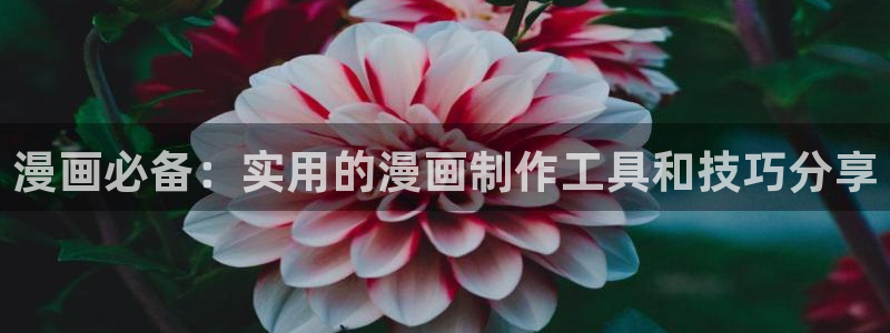 怎么注册漫蛙