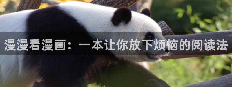 漫蛙漫画官网看：漫漫看漫画：一本让你放下烦恼的阅读法