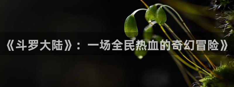 漫蛙漫画(网站入口)台版：《斗罗大陆》：一场全民热血的奇幻冒险》