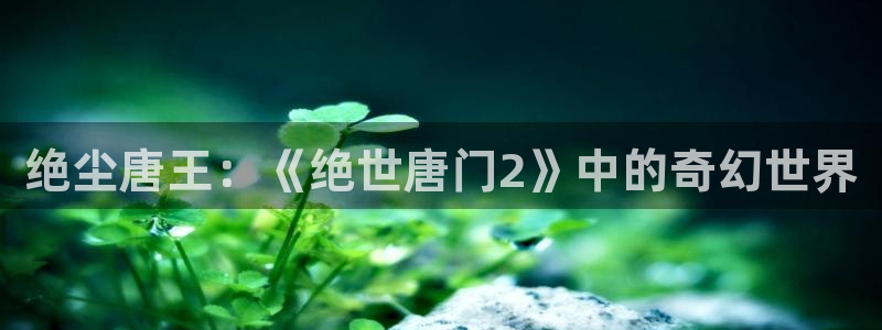 漫蛙更新：绝尘唐王：《绝世唐门2》中的奇幻世界