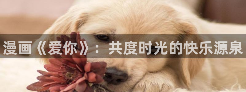 漫蛙漫画免费登录：漫画《爱你》：共度时光的快乐源泉