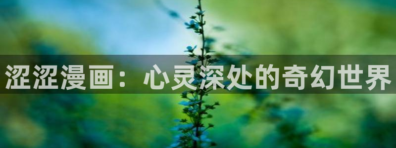漫蛙你2：涩涩漫画：心灵深处的奇幻世界